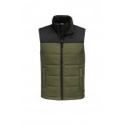  NF0A529A North Face Men's Everyday Insulated Vest